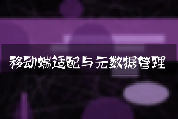 移动端适配与元数据管理
