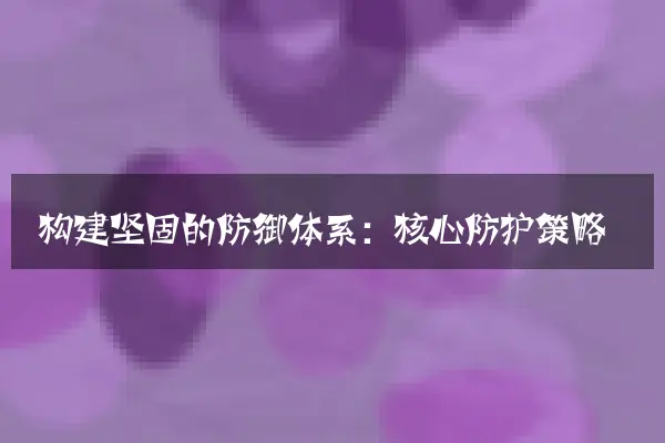 构建坚固的防御体系：核心防护策略